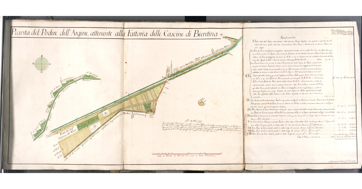 Pianta del Podere dell'Argine, attenente alla Fattoria delle Cascine di Bientina