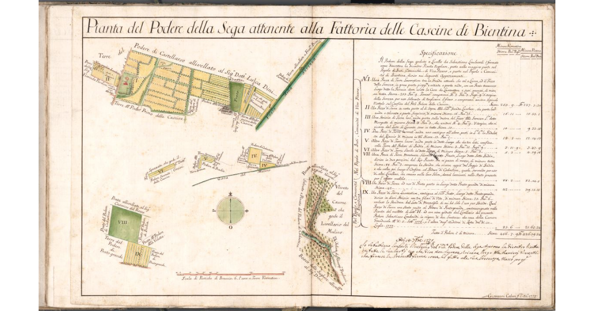 Pianta del Podere della Sega attenente alla Fattoria delle Cascine di Bientina