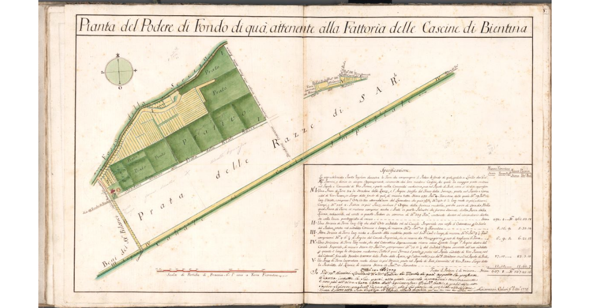 Pianta del Podere di Fondo di quà, attenente alla Fattoria delle Cascine di Bientina