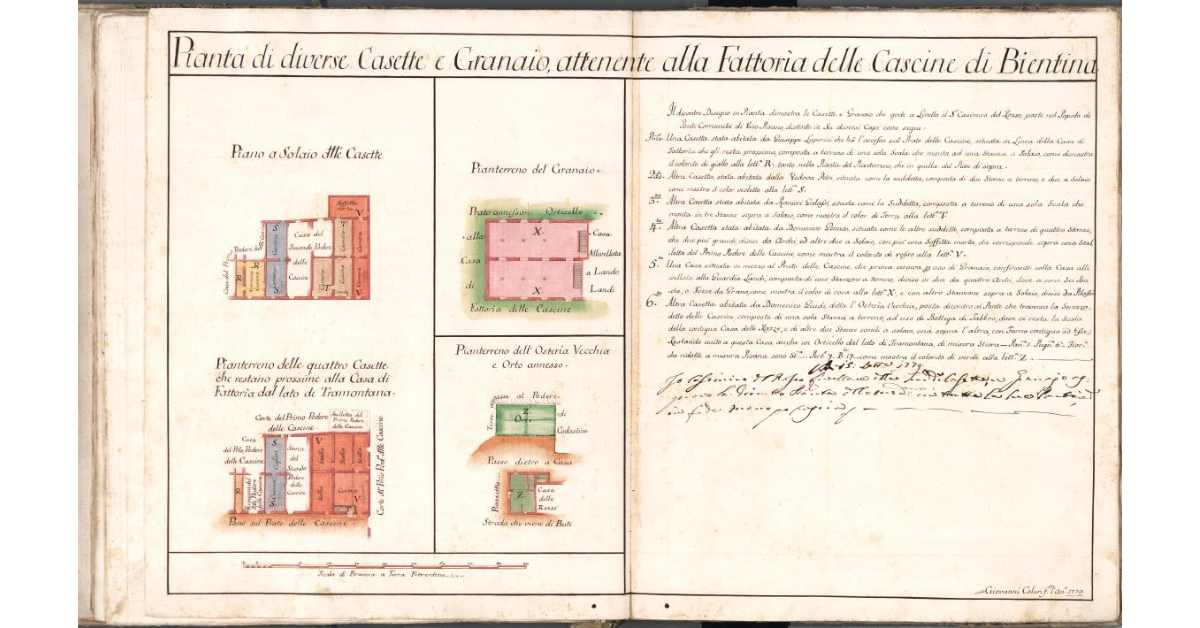 Pianta di diverse Casette e Granaio, attenente alla fattoria delle cascine di Bientina