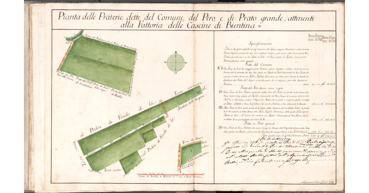 Pianta delle Praterie dette del Comune, del Pero, e di Prato grande, attenenti alla Fattoria delle Cascine di Bientina