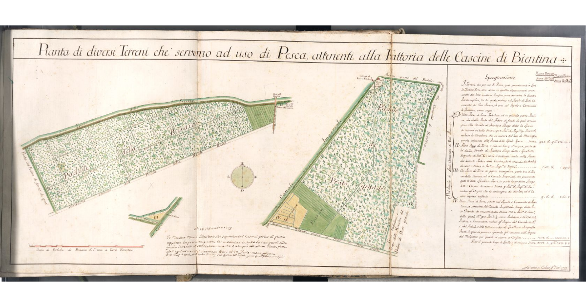 Pianta di diversi Terreni che servono ad uso di Pesca, attenenti alla fattoria delle Cascine di Bientina