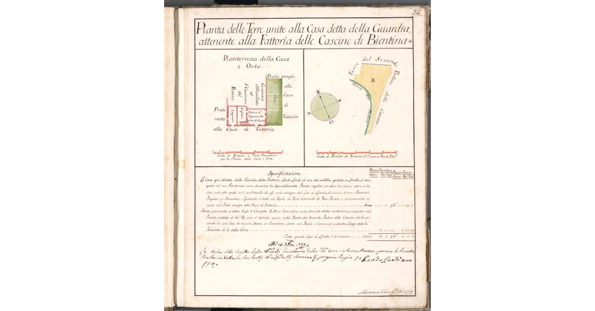 Pianta delle Terre unite alla casa detta della Guardia, attenente alla Fattoria delle Cascine di Bientina