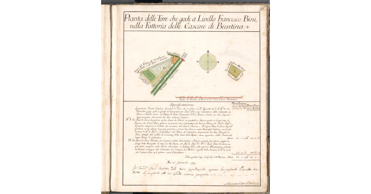 Pianta delle Terre che gode a Livello Francesco Bini, nella Fattoria delle Cascine di Bientina