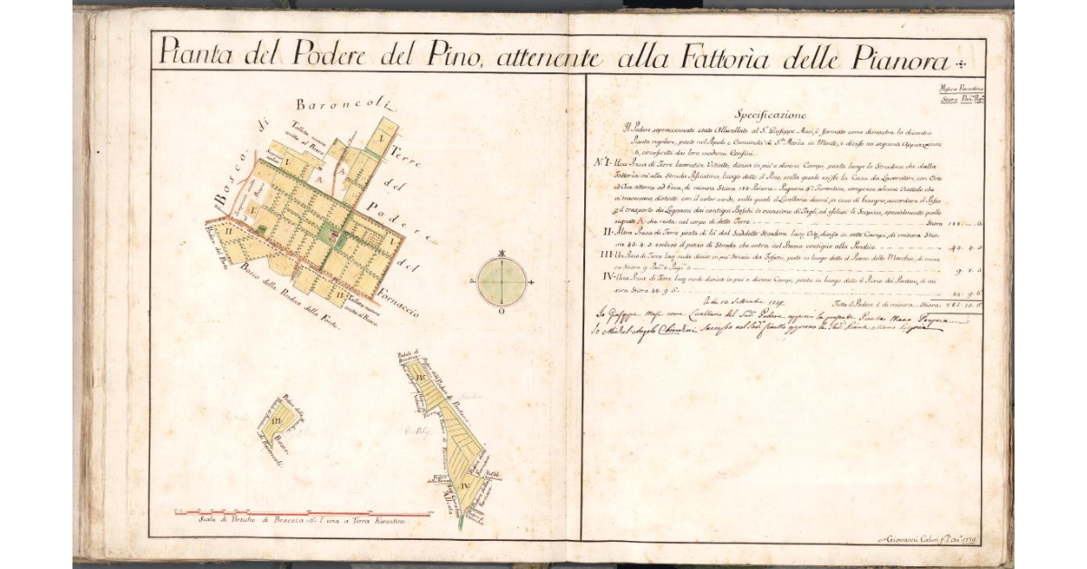 Pianta del Podere del Pino, attenente alla Fattoria delle Pianora