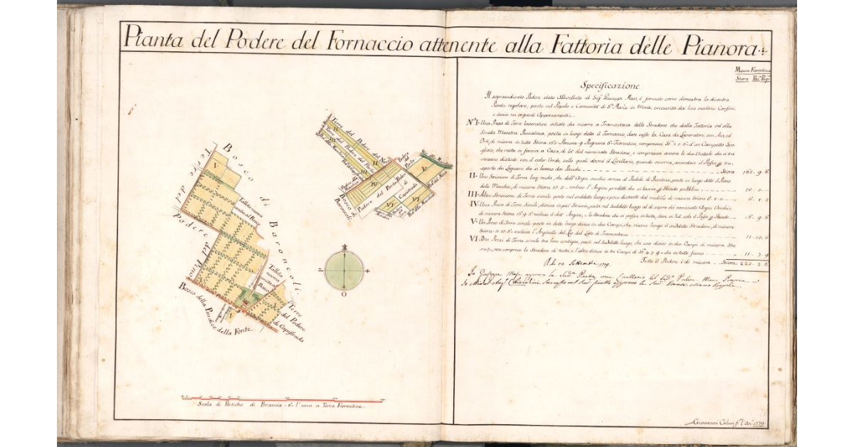 Pianta del Podere del Fornaccio attenente alla fattoria delle Pianora