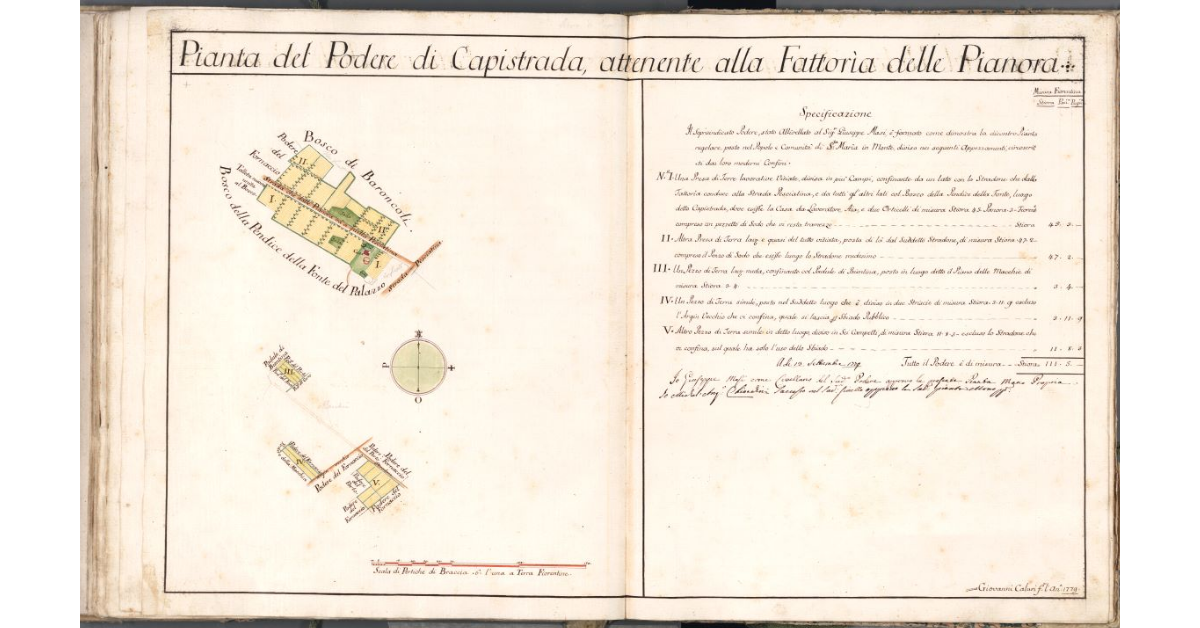 Pianta del Podere di Capistrada, attenente alla Fattoria delle Pianora
