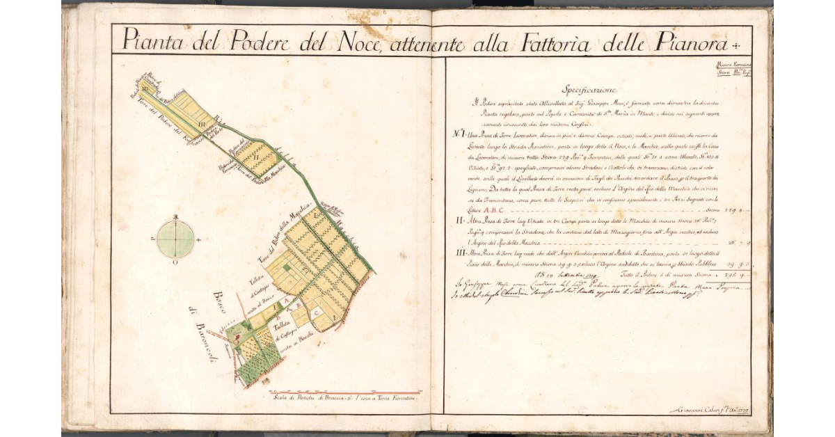 Pianta del Podere del Noce, attenente alla Fattoria delle Pianora