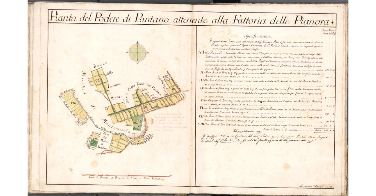 Pianta del Podere di Pantano, attenete alla Fattoria delle Pianora