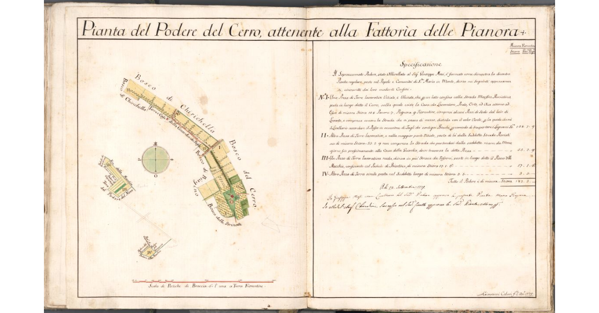 Pianta del Podere del Cerro, attenente alla Fattoria delle Pianora