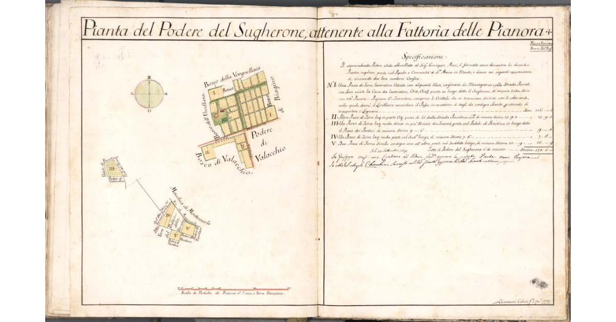 Pianta del Podere del Sugherone, attenente alla Fattoria delle Pianora