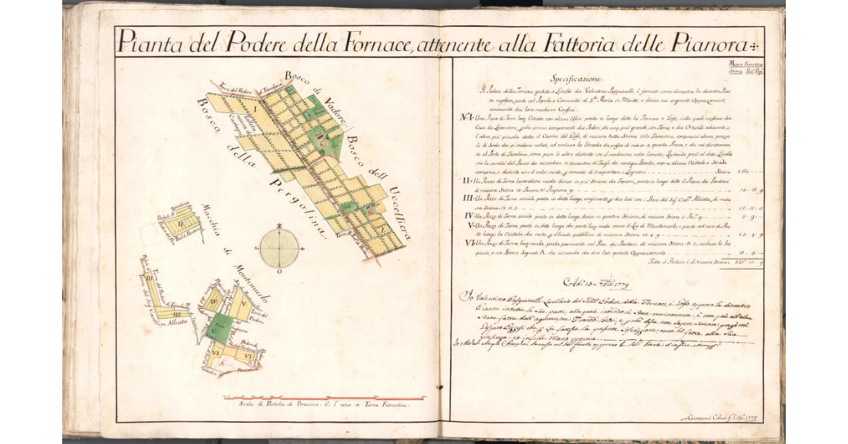 Pianta del Podere della Fornace, attenente alla Fattoria delle Pianora
