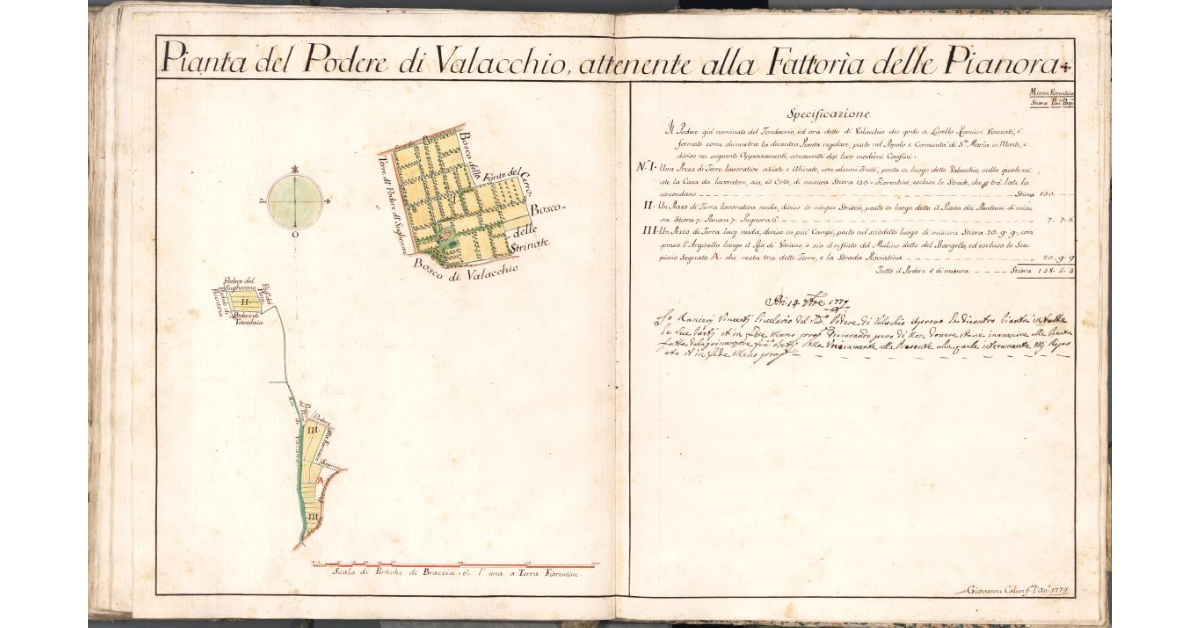 Pianta del Podere di Valacchio, attenente alla Fattoria delle Pianora