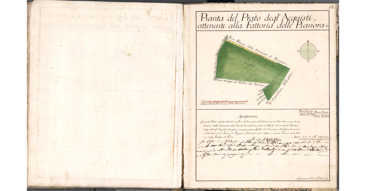 Pianta del Prato degl'Acquisti, attenente alla Fattoria delle Pianora