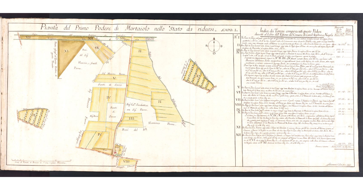 Pianta del Primo Podere di Mortaiolo nello Stato da ridursi
