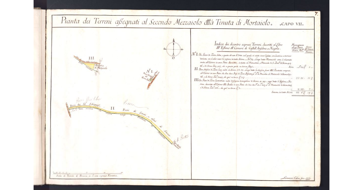 Pianta dei Terreni assegnati al Secondo Mezzaiolo della Tenuta di Mortaiolo
