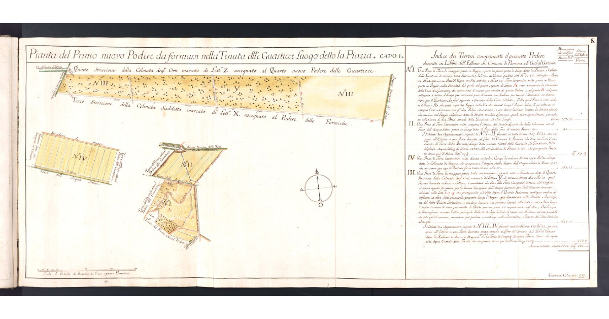 Pianta del Primo nuovo Podere da Formarsi nella Tenuta delle Guasticce Luogo detto la Piazza