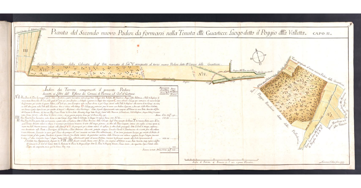 Pianta del Secondo nuovo Podere da formarsi nella Tenuta delle Guasticce Luogo detto il Poggio della Valletta