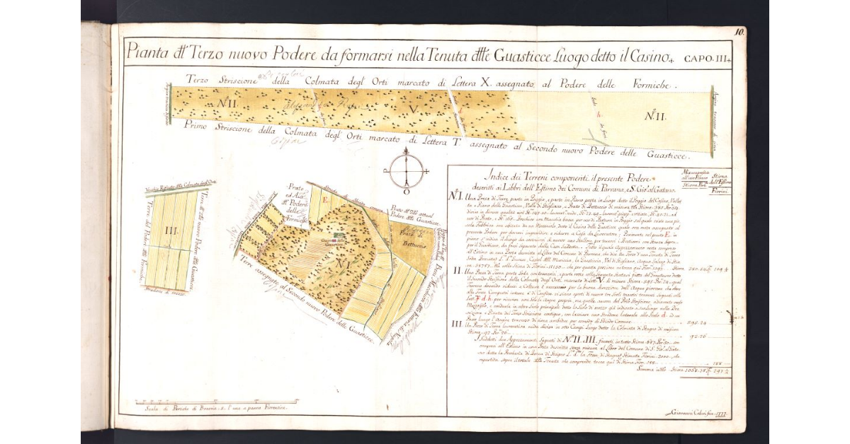 Pianta del Terzo nuovo Podere da formarsi nella Tenuta delle Guasticce Luogo detto il Casino