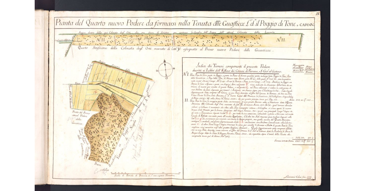 Pianta del Quarto nuovo Podere da formarsi nella Tenuta delle Guasticce luogo detto il Poggio di Tone