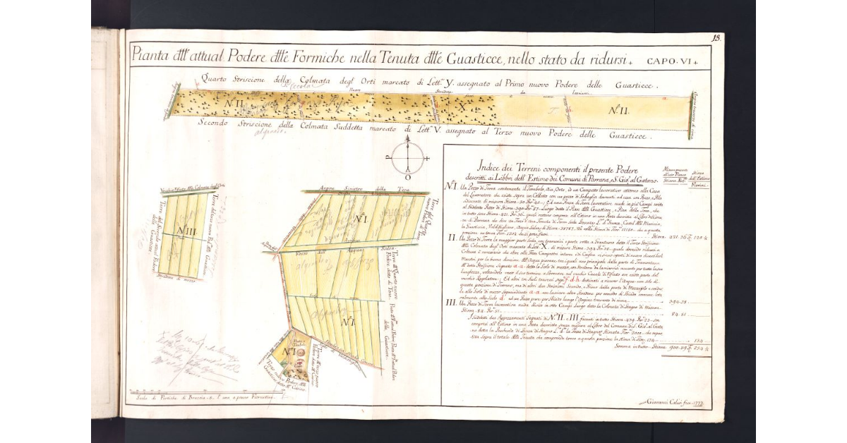 Pianta dell'attual Podere delle Formiche nella Tenuta delle Guasticce, nello stato da ridursi