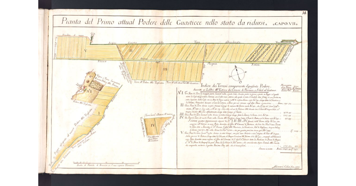 Pianta del Primo attual Podere delle Guasticce nello stato da ridursi