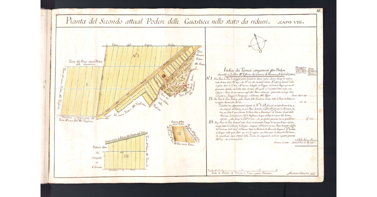 Pianta del Secondo attual Podere delle Guasticce nello stato da ridursi