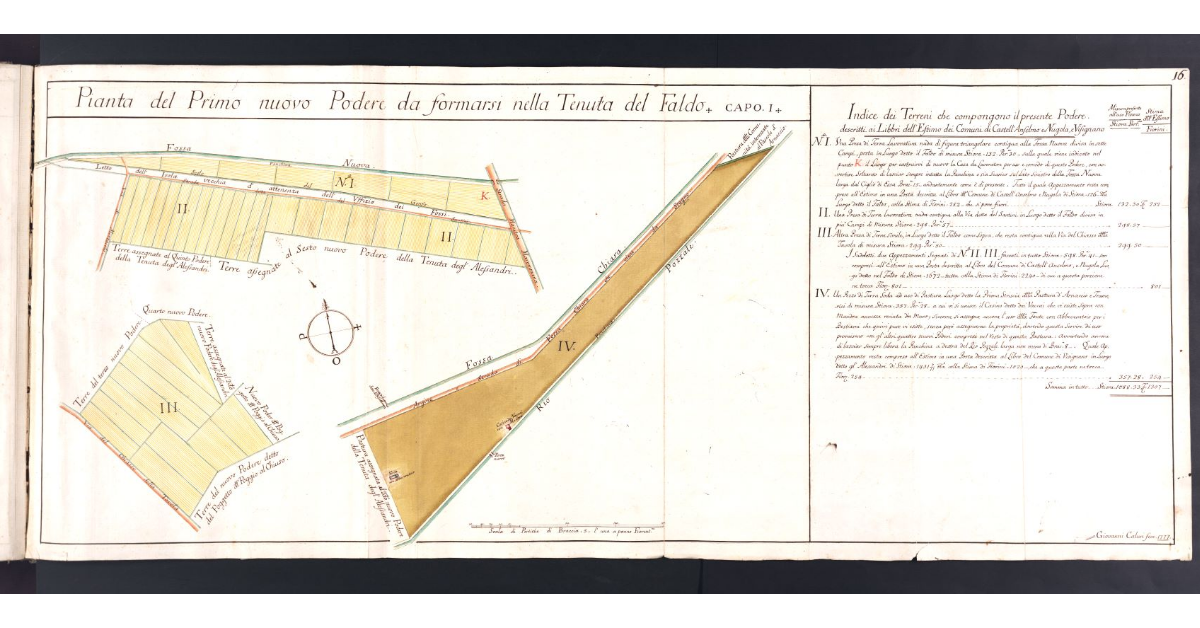 Pianta del Primo nuovo Podere da formarsi nella Tenuta del Faldo