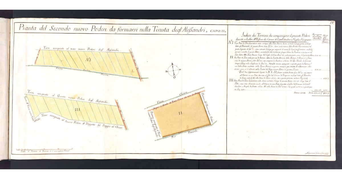 Pianta del Secondo nuovo Podere da formarsi nella Tenuta degl'Alessandri