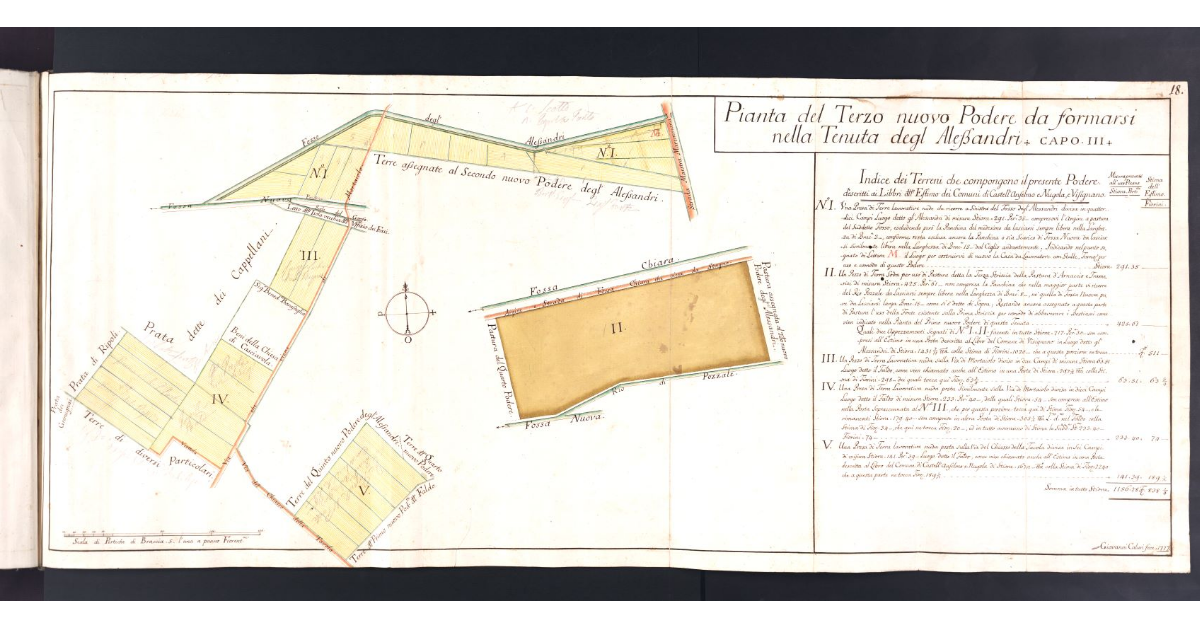 Pianta del Terzo nuovo Podere da formarsi nella Tenuta degl'Alessandri