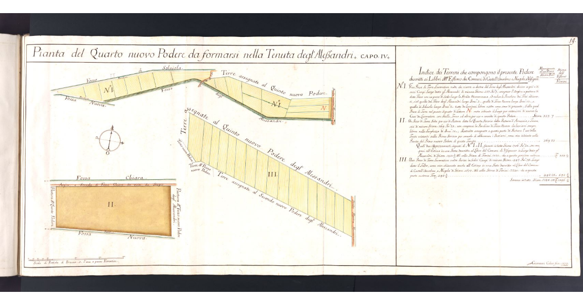 Pianta del Quarto nuovo Podere da formarsi nella Tenuta degl'Alessandri