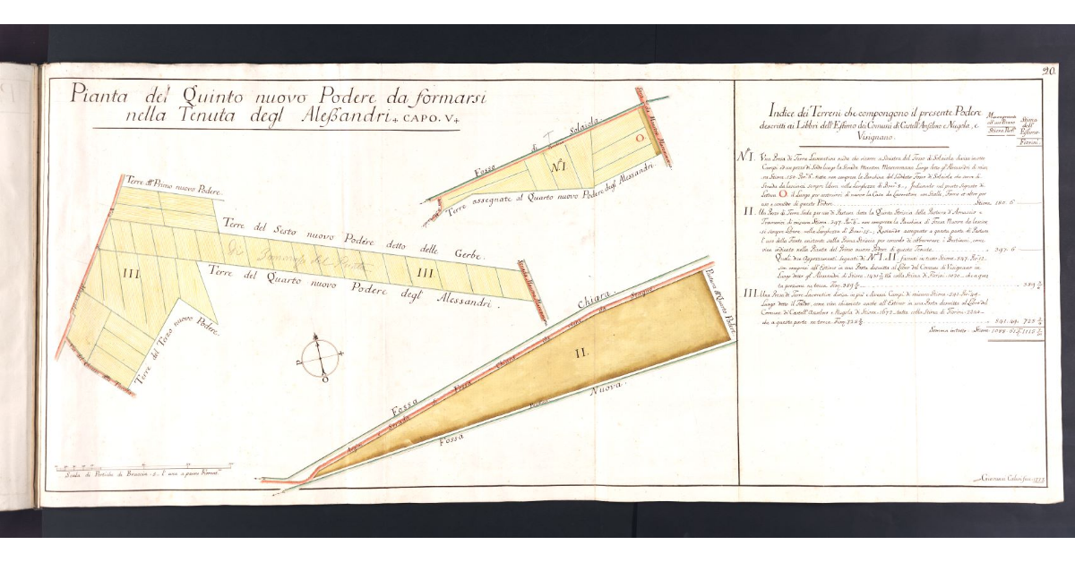 Pianta del Quinto nuovo Podere da formarsi nella Tenuta degl'Alessandri