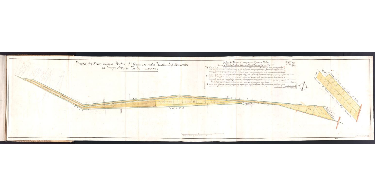 Pianta del Sesto nuovo Podere da formarsi nella Tenuta degl'Alessandri in Luogo detto le Gerbe