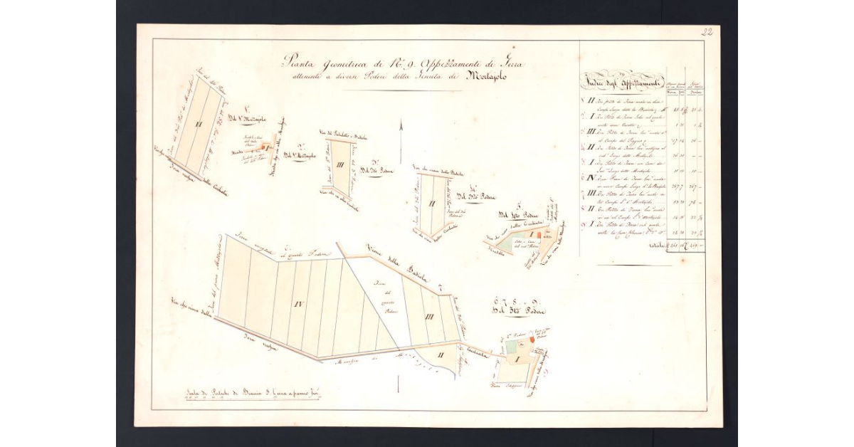 Pianta geometrica di n. 9 Appezzamenti di Terra attenenti a diversi Poderi della Tenuta di Mortaiolo