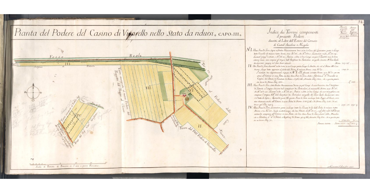 Pianta del Podere del Casino di Vicarello nello Stato da ridursi