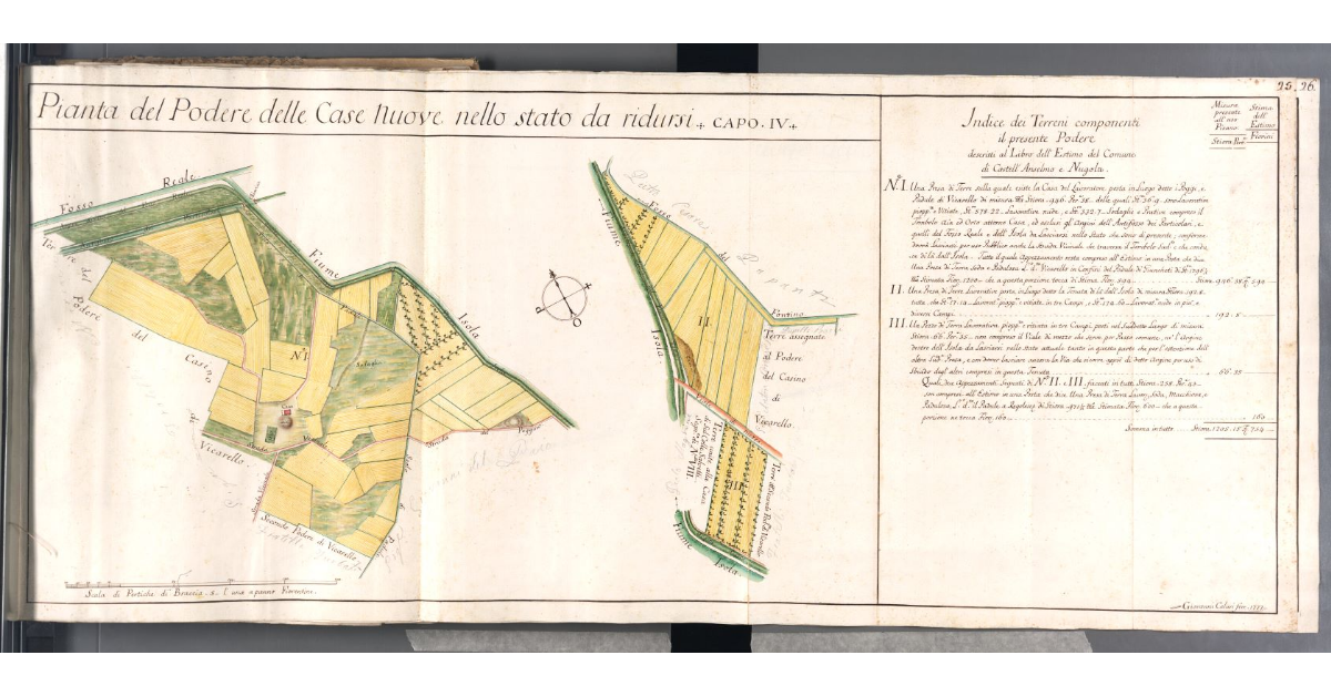 Pianta del Podere delle Case Nuove nello stato da ridursi