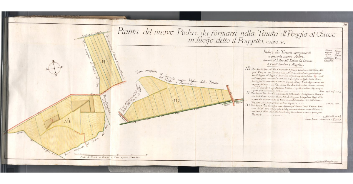 Pianta del nuovo Podere da formarsi nella Tenuta del Poggio al Chiuso in Luogo detto il Poggetto