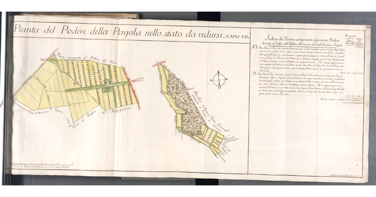 Pianta della Pergola nello stato da ridursi