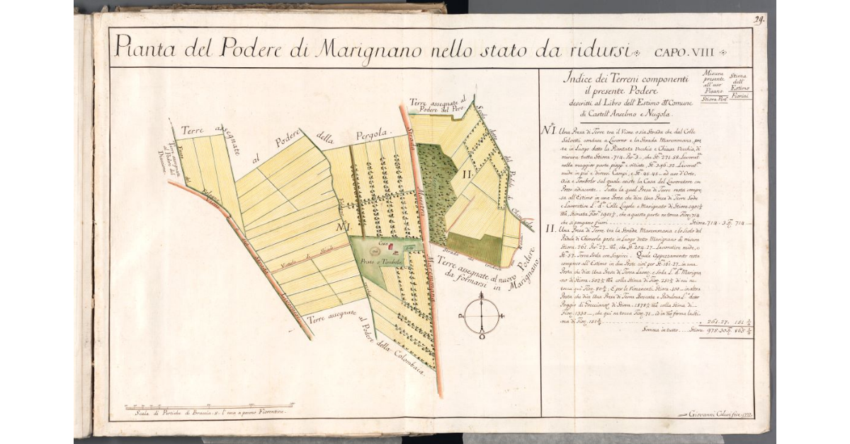 Pianta del Podere di Marignano nello stato da ridursi