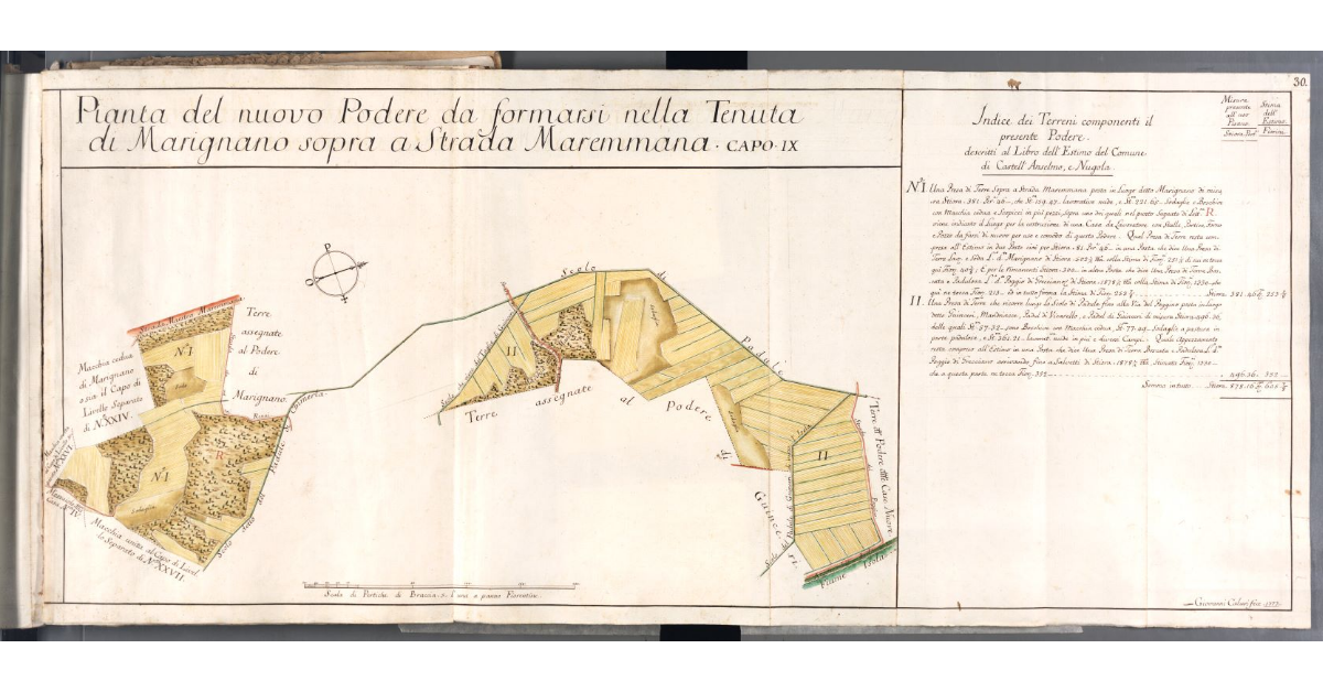 Pianta del nuovo Podere da formarsi nella Tenuta di Marignano sopra a Strada Maremmana