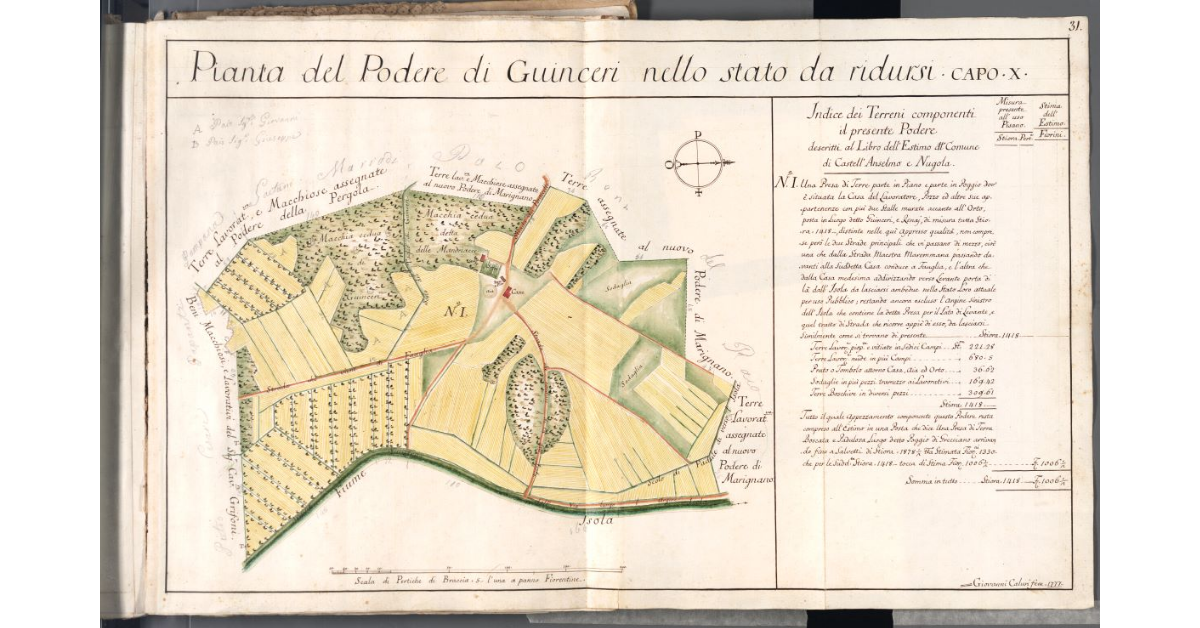 Pianta del Podere di Guinceri nello stato da ridursi
