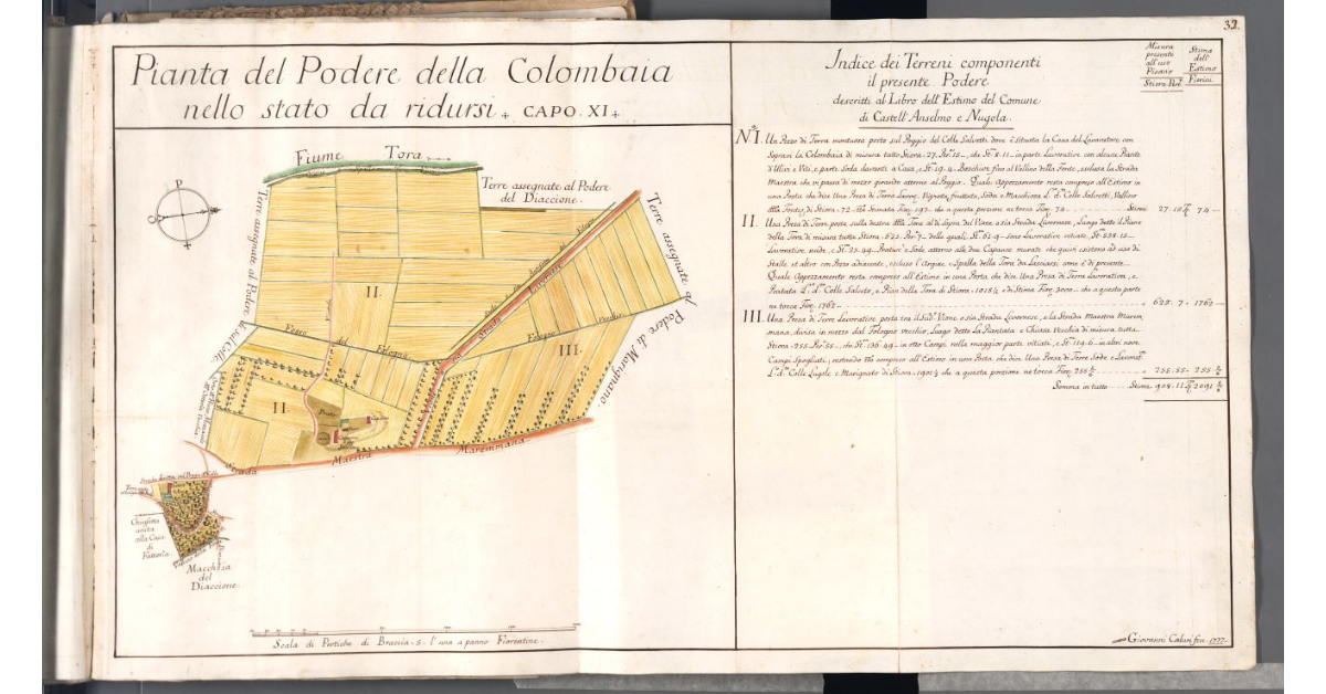 Pianta del Podere della Colombaia nello stato da ridursi