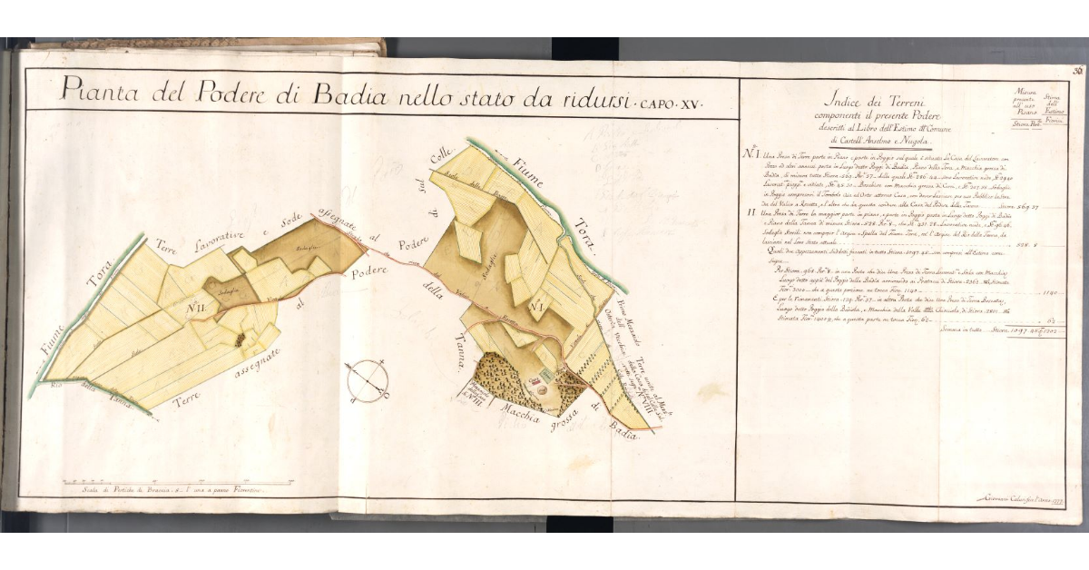 Pianta del Podere di Badia nello stato da ridursi