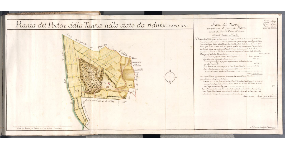 Pianta del Podere della Tanna nello stato da ridursi