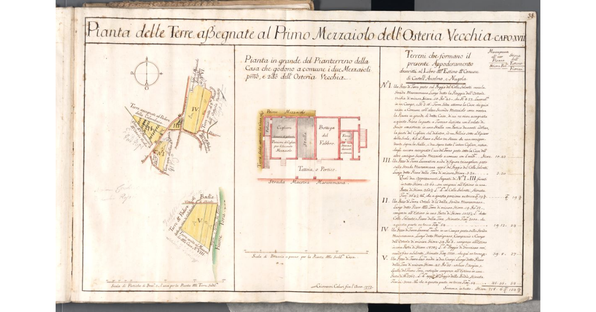 Piante delle Terre assegnate al Primo Mezzaiolo dell'Osteria Vecchia