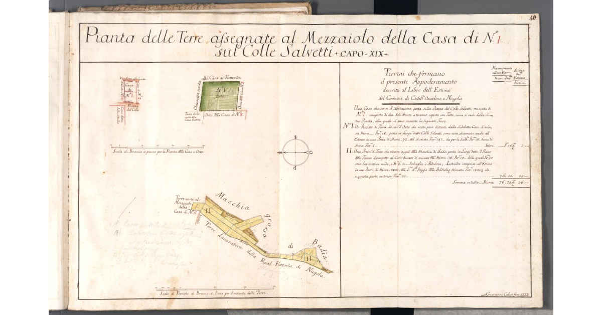 Pianta delle Terre assegnate al Mezzaiolo della Casa di N. 1 sul Colle Salvetti