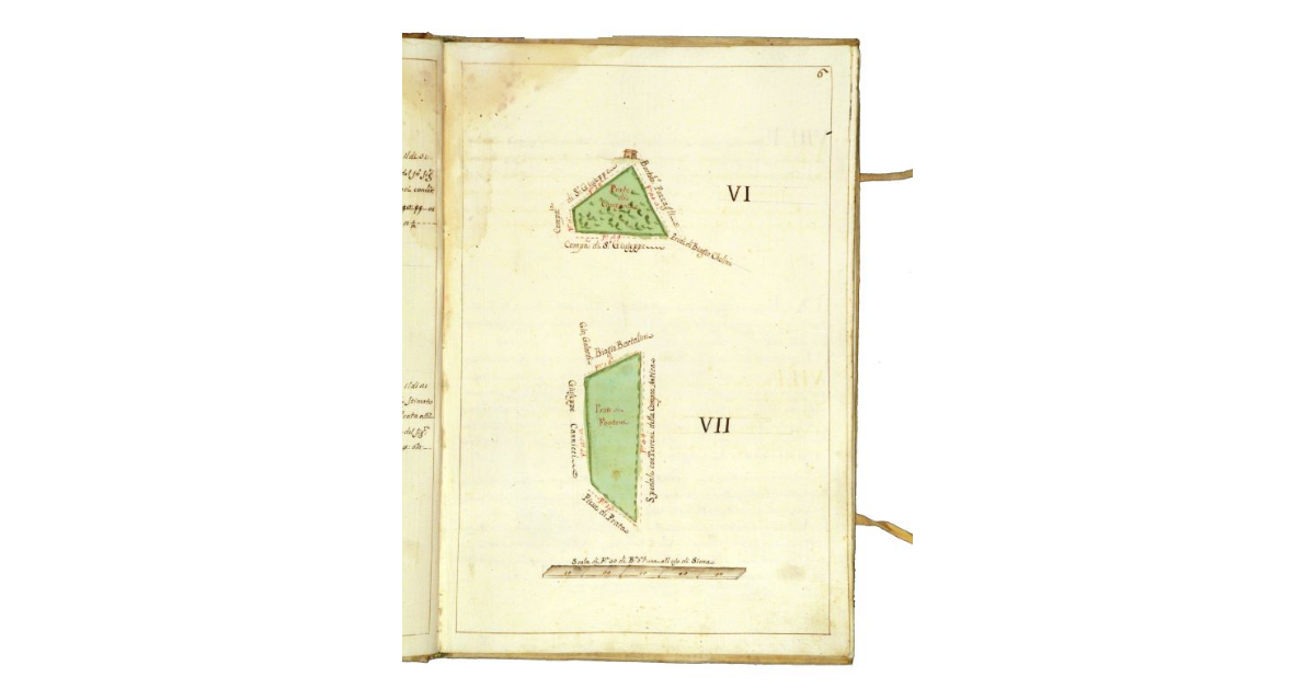 [Mappa raffigurante due campi prativi]