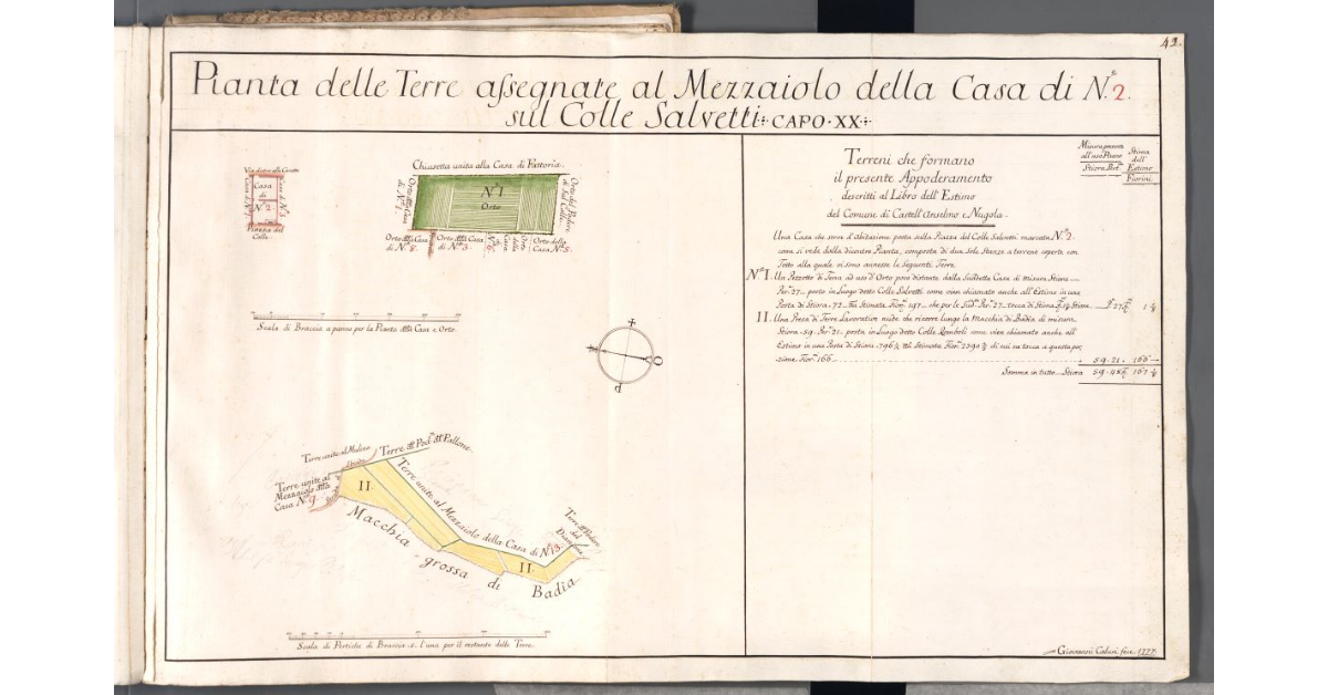 Pianta delle Terre assegnate al Mezzaiolo della Casa di N. 2 sul Colle Salvetti