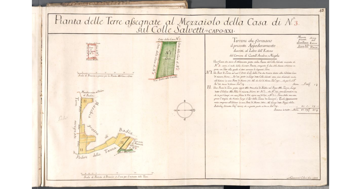 Pianta delle Terre assegnate al Mezzaiolo della Casa di N. 3 sul Colle Salvetti