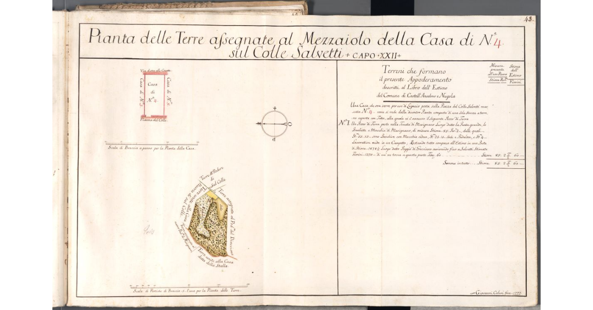Pianta delle Terre assegnate al Mezzaiolo della Casa di N. 4 sul Colle Salvetti